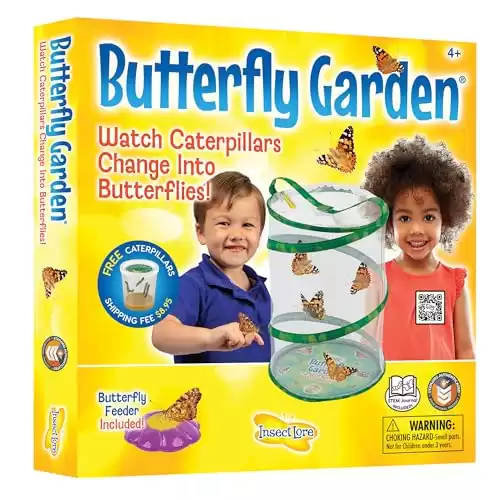 Insect Lore Butterfly Garden | Painted Lady Butterfly Growing Kit with Voucher for Live Caterpillars | Butterfly Habitat, STEM Journal & More